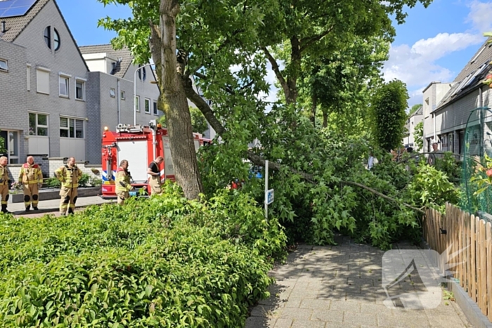 Brandweer zaagt afgewaaide tak in stukken