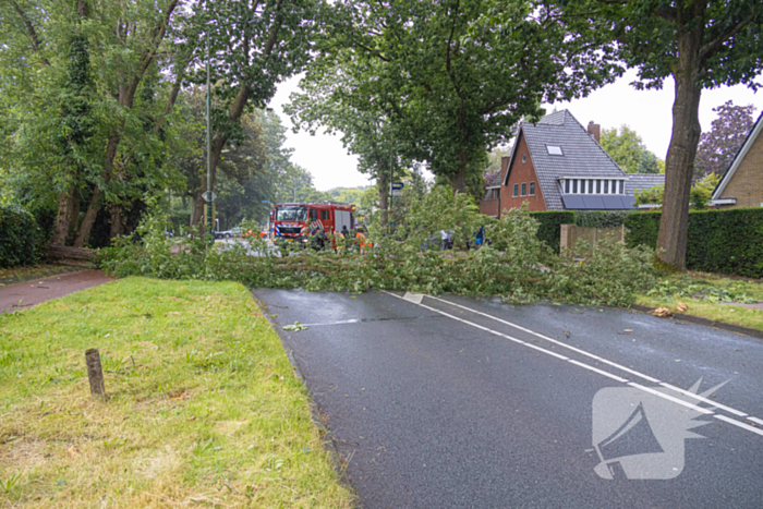 Boom belandt op provinciale weg