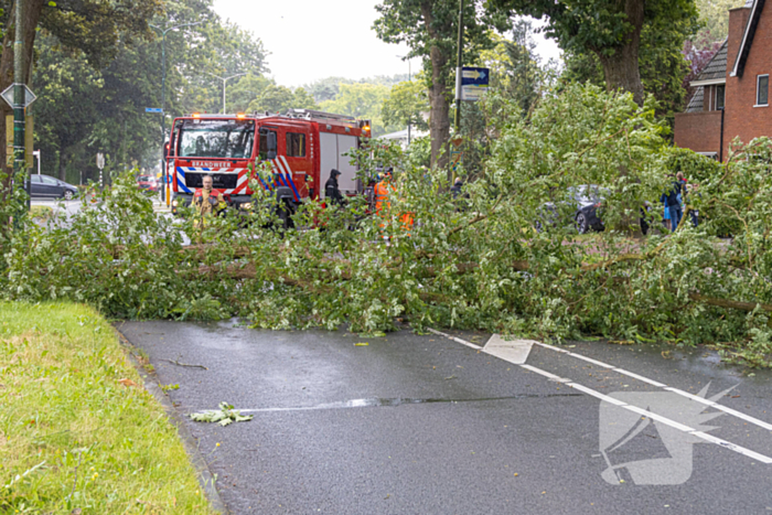 Boom belandt op provinciale weg