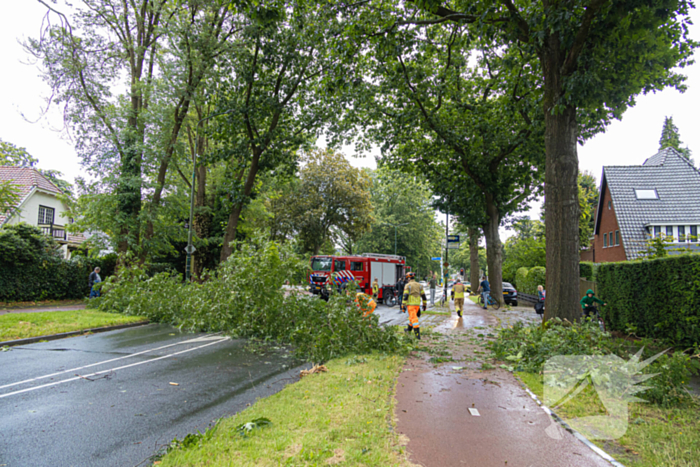 Boom belandt op provinciale weg