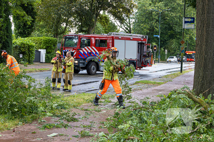 Boom belandt op provinciale weg