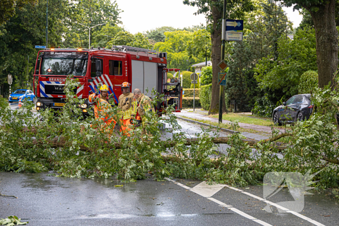 Boom belandt op provinciale weg