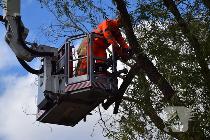 Brandweer verwijdert gevaarlijk hangende tak