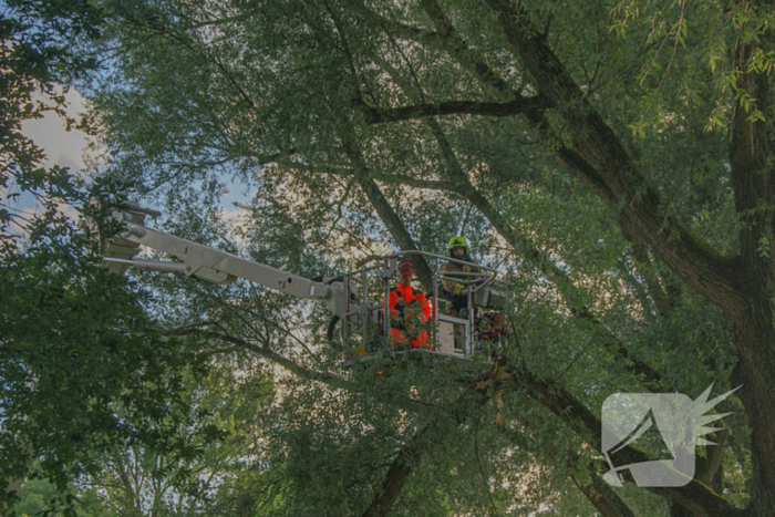 Brandweer verwijdert gevaarlijk hangende tak