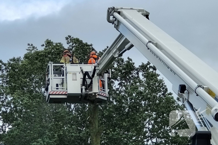 Brandweer verwijderd afgewaaide tak die op boerderij valt