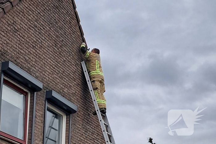 Brandweer helpt vastzittende zwaluw