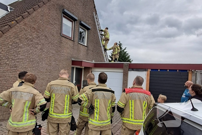 Brandweer helpt vastzittende zwaluw