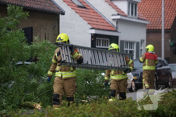 Meerdere takken blokkeren weg door harde wind