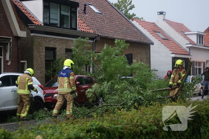 Meerdere takken blokkeren weg door harde wind