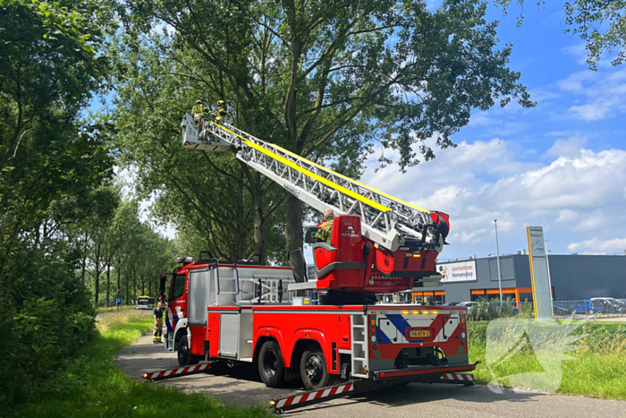 Brandweer verwijdert gevaarlijk hangende tak