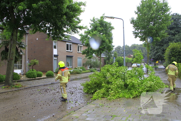 Grote tak valt bijna op voetgangers