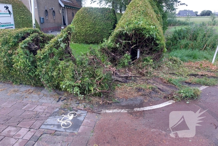 Bestuurder raakt macht over het stuur kwijt en belandt in bosjes