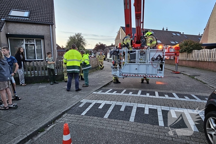 Buurt loopt uit voor vogel in schoorsteen