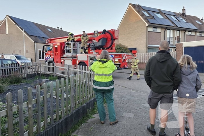 Buurt loopt uit voor vogel in schoorsteen