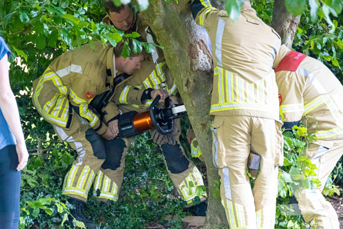 Brandweer bevrijdt vastzittend kind in boom