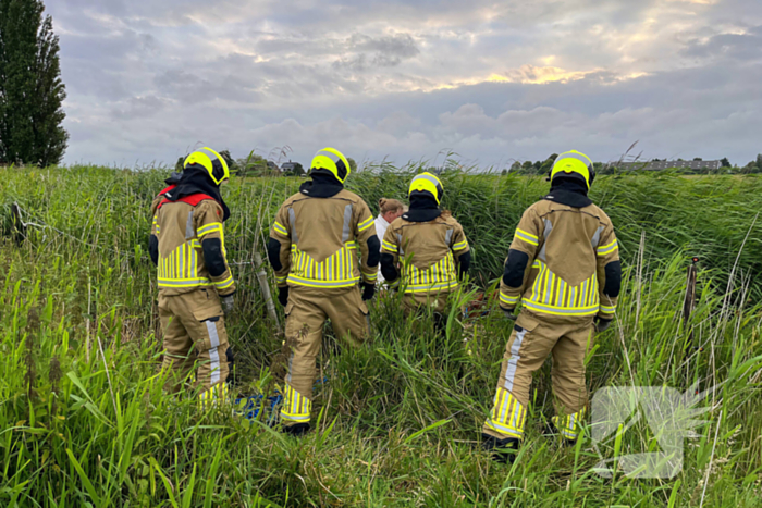 Brandweer ingezet voor paard te water