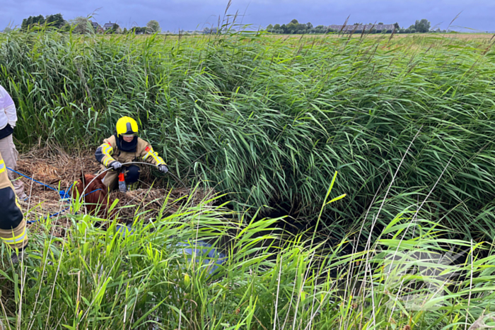 Brandweer ingezet voor paard te water