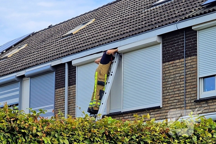 Brandweer redt jonge eekhoorntjes uit rolluik bak