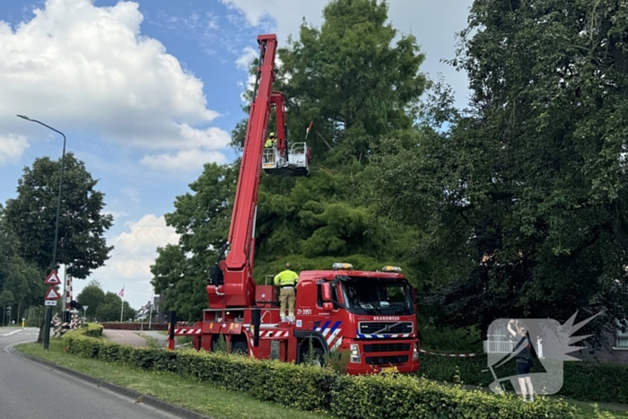 Brandweer sluit fietspad af vanwege gevaarlijk hangende takken