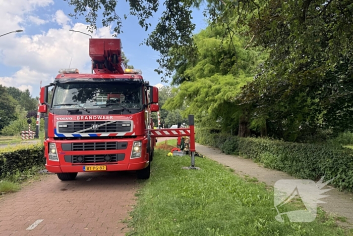 Brandweer sluit fietspad af vanwege gevaarlijk hangende takken