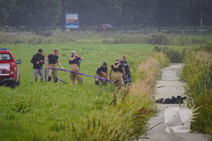 Twee koeien door brandweer uit sloot gered