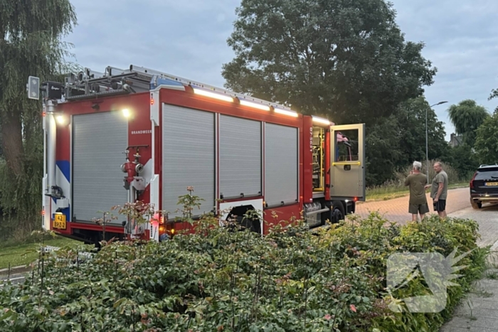 Vastzittende vogel door brandweer bevrijdt