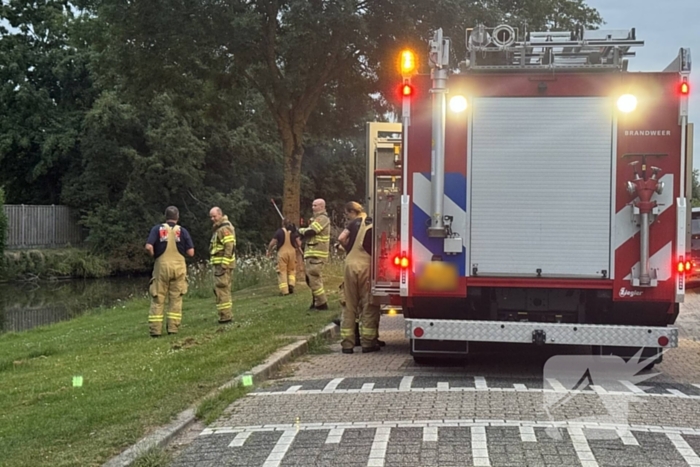 Vastzittende vogel door brandweer bevrijdt