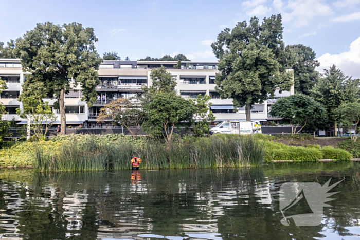 Verstrikte waterhoen laat zich niet vangen