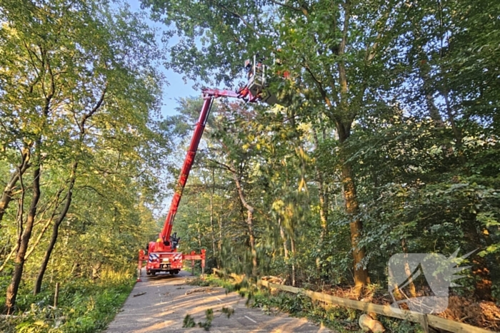 Boom belandt op drukke toegangsweg