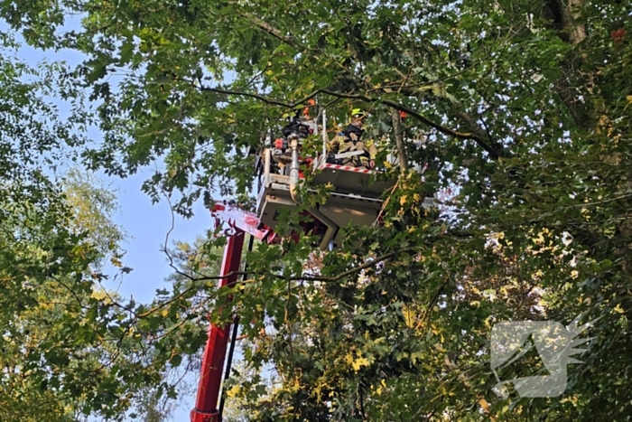 Boom belandt op drukke toegangsweg