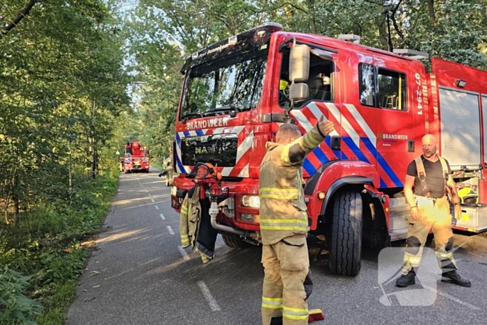 Boom belandt op drukke toegangsweg