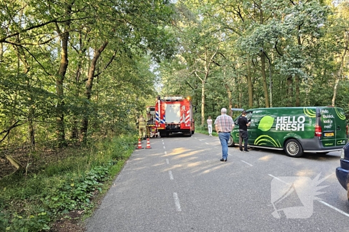 Boom belandt op drukke toegangsweg