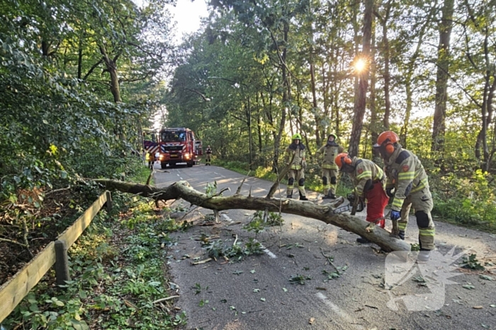 Boom belandt op drukke toegangsweg