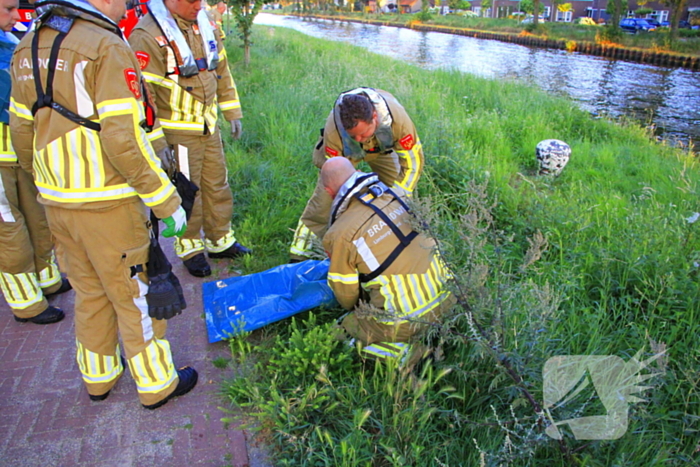 Brandweer haalt overleden ree uit het water