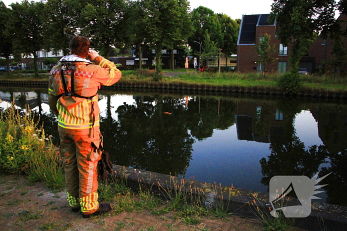 Brandweer haalt overleden ree uit het water