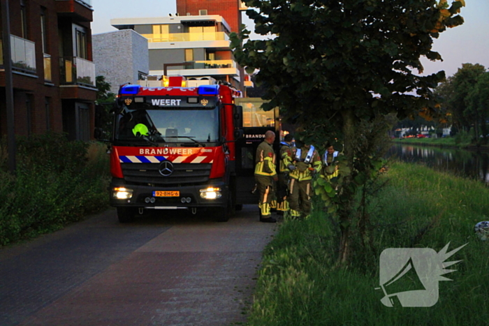 Brandweer haalt overleden ree uit het water