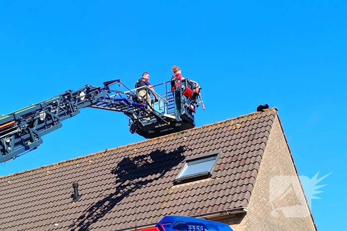 Brandweer haalt kat van dak