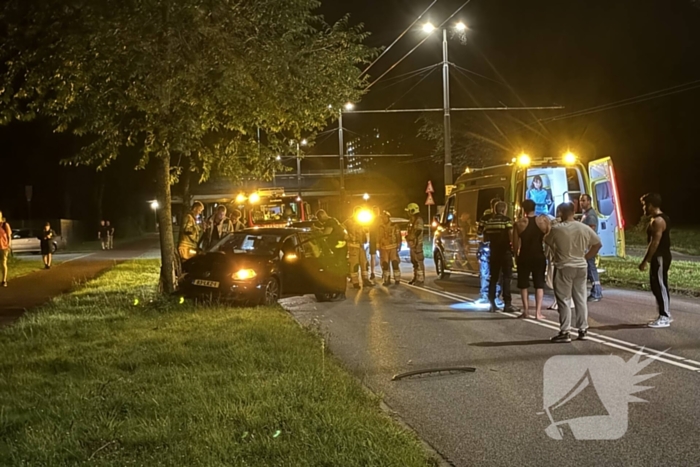 Automobilist raakt van weg en botst tegen boom