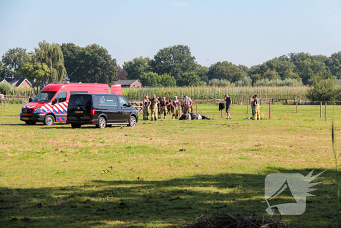 Brandweer schiet paard in problemen te hulp