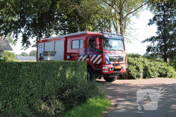 Brandweer schiet paard in problemen te hulp