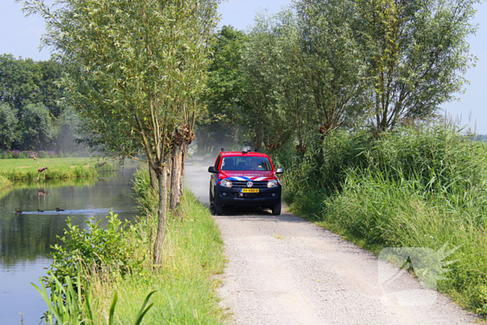 Brandweer ingezet voor koe te water