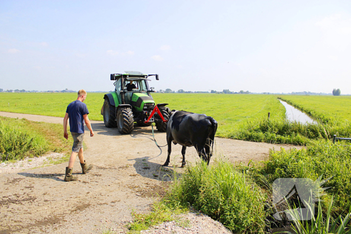 Brandweer ingezet voor koe te water