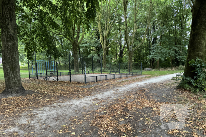 Politie zoekt getuigen na verkrachting in park