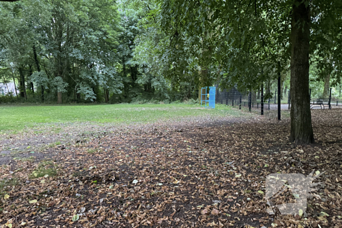 Politie zoekt getuigen na verkrachting in park