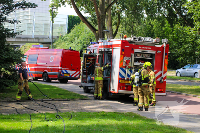 Brandweer blust brand in bosjes