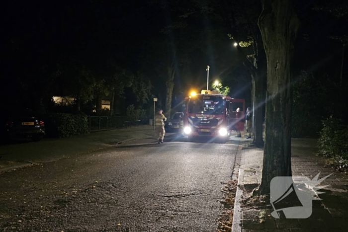 Boom valt tussen twee geparkeerde auto's