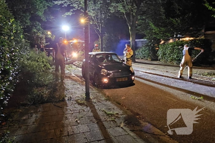 Boom valt tussen twee geparkeerde auto's