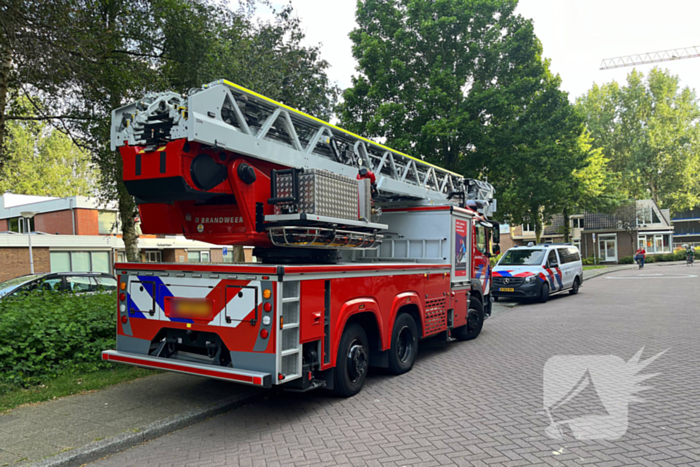 Hulpdiensten starten zoektocht in water naar vermist meisje