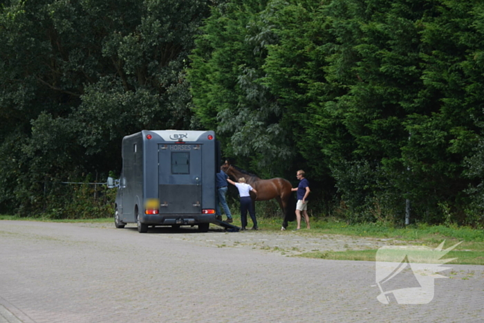 Verkeershinder na gekantelde paardentrailer