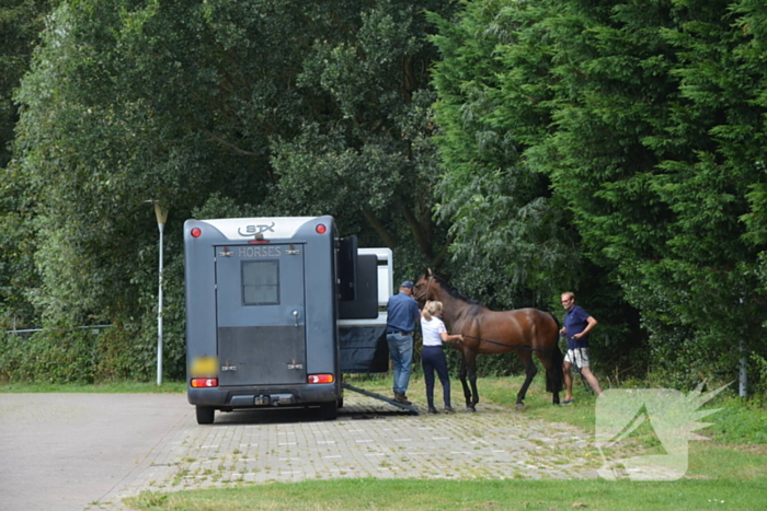 Verkeershinder na gekantelde paardentrailer